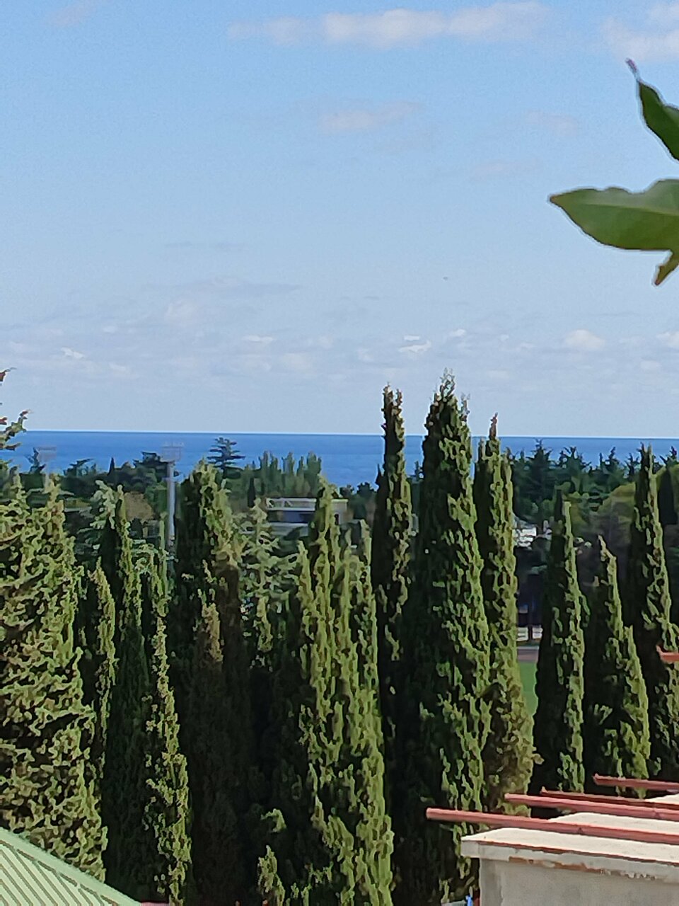 Гостиница Витекс Алушта-117