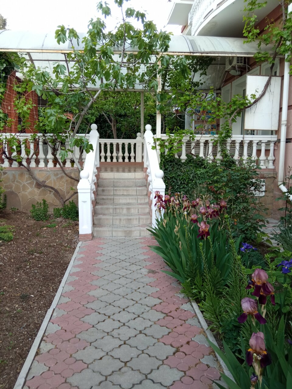 Гостиница Витекс Алушта-125