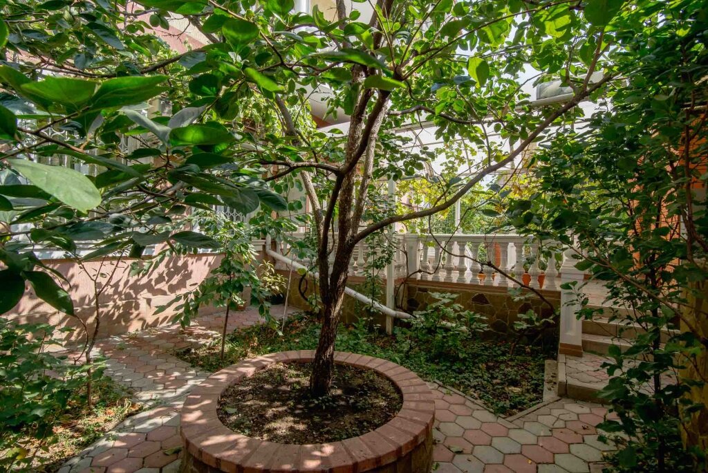 Гостиница Витекс Алушта-51