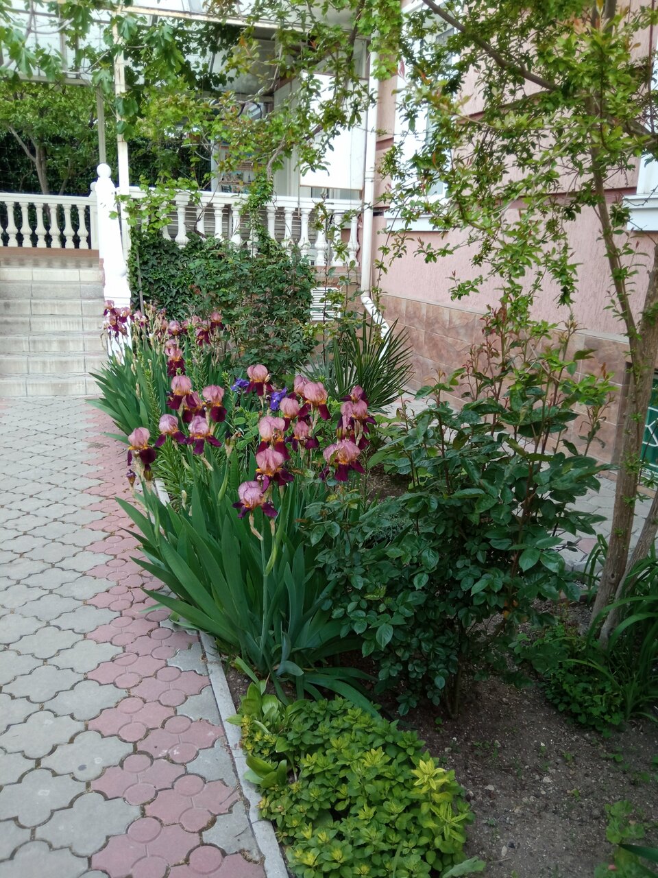 Гостиница Витекс Алушта-116