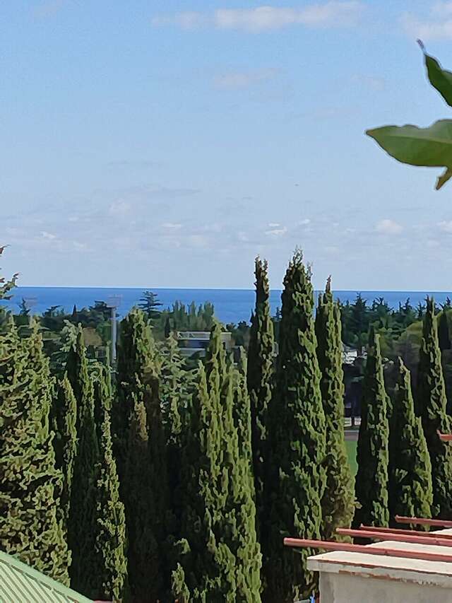 Гостиница Витекс Алушта-116